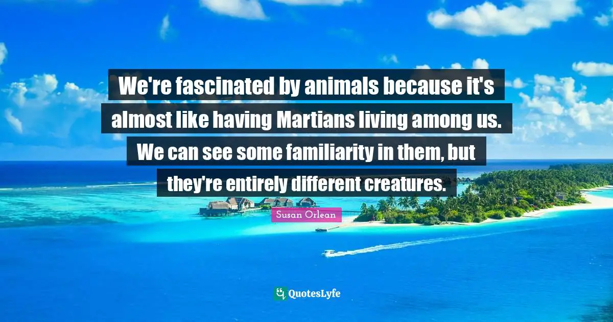 We're fascinated by animals because it's almost like having Martians living among us. We can see some familiarity in them, but they're entirely different creatures.