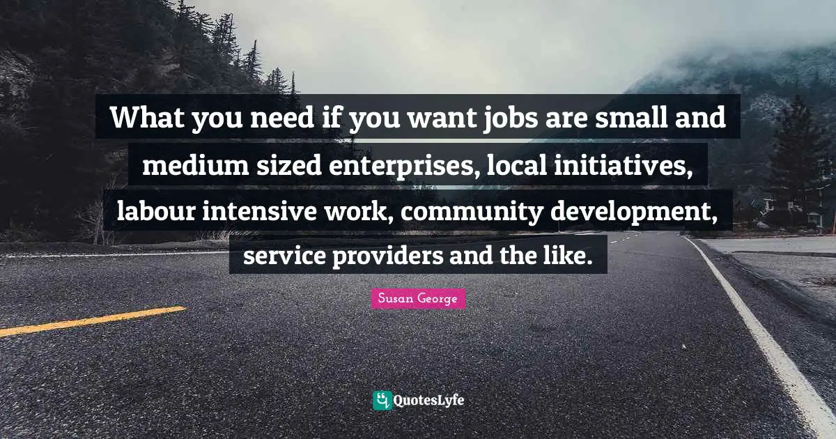 What you need if you want jobs are small and medium sized enterprises, local initiatives, labour intensive work, community development, service providers and the like.