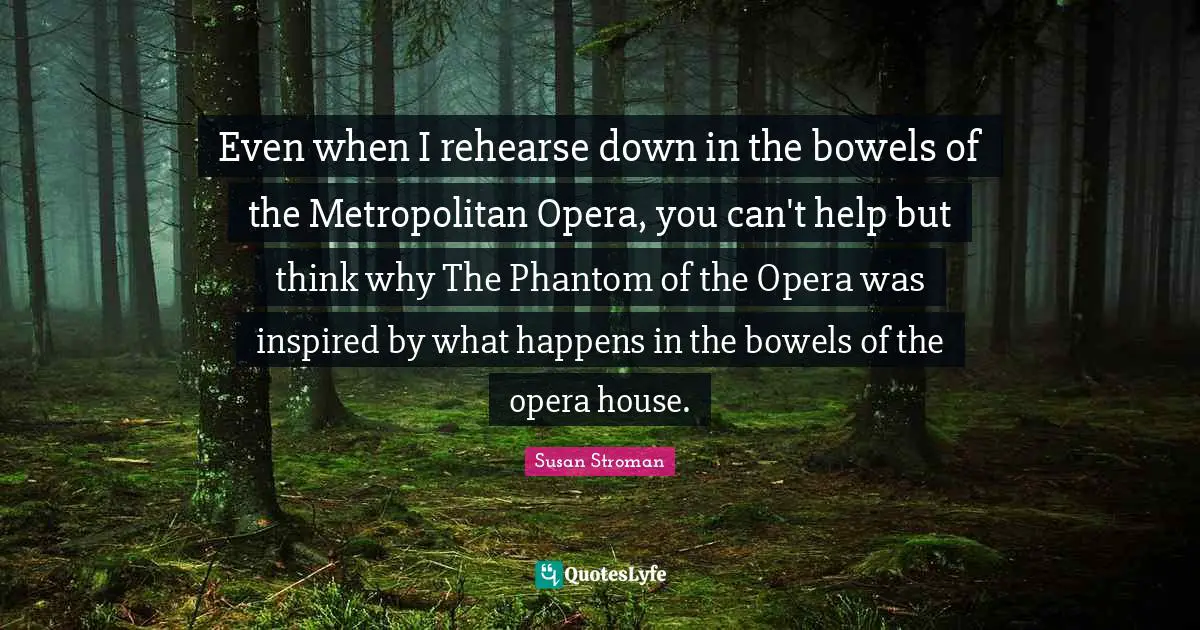 Even when I rehearse down in the bowels of the Metropolitan Opera, you can't help but think why The Phantom of the Opera was inspired by what happens in the bowels of the opera house.