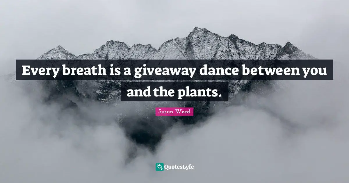 Every breath is a giveaway dance between you and the plants.