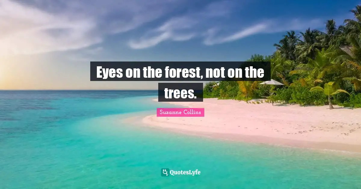 Eyes on the forest, not on the trees.