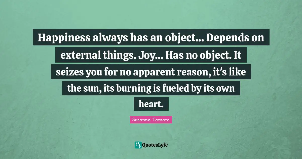 Happiness always has an object... Depends on external things. Joy... Has no object. It seizes you for no apparent reason, it's like the sun, its burning is fueled by its own heart.