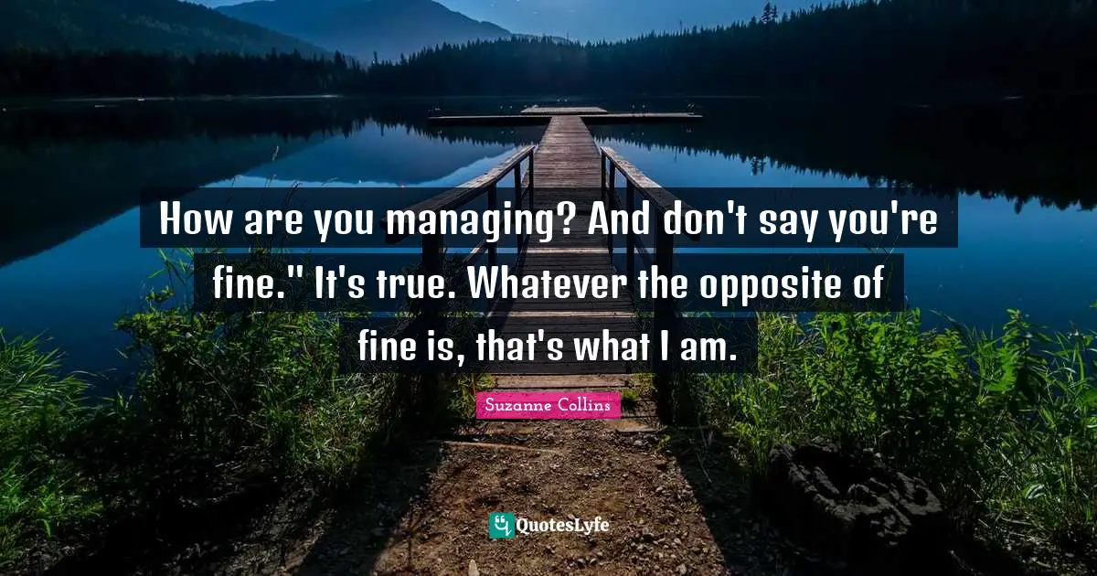 How are you managing? And don't say you're fine." It's true. Whatever the opposite of fine is, that's what I am.