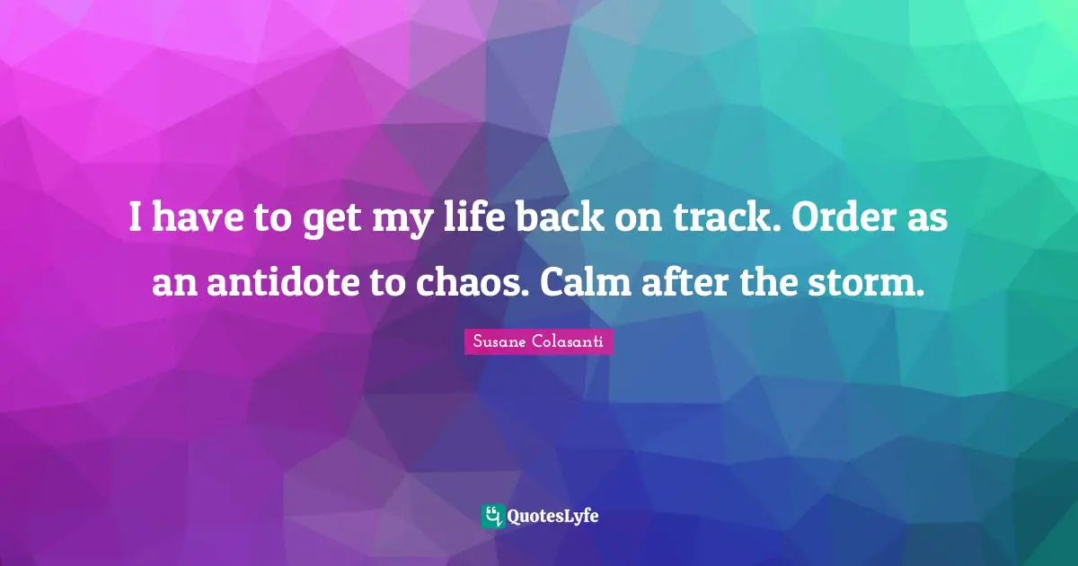 Back On Track Quotes: "I have to get my life back on track. Order as an antidote to chaos. Calm after the storm."