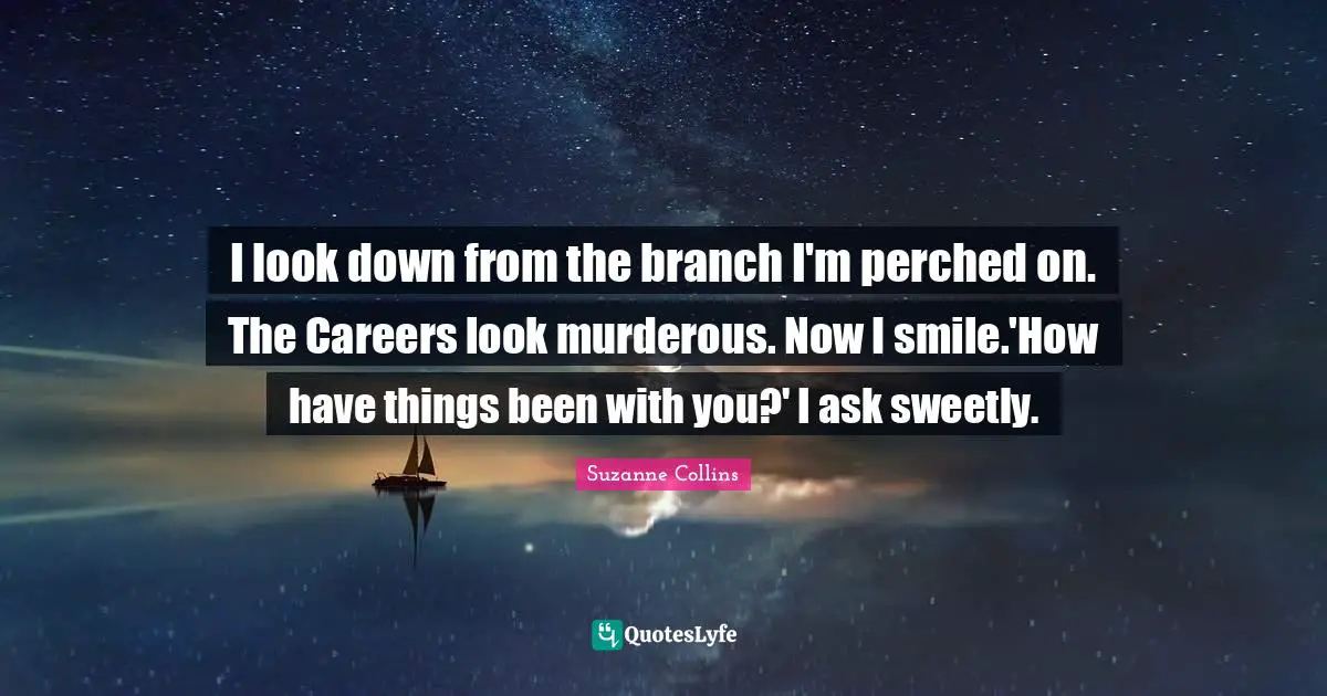 I look down from the branch I'm perched on. The Careers look murderous. Now I smile.'How have things been with you?' I ask sweetly.