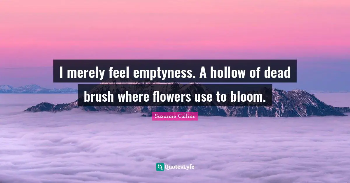 I merely feel emptyness. A hollow of dead brush where flowers use to bloom.