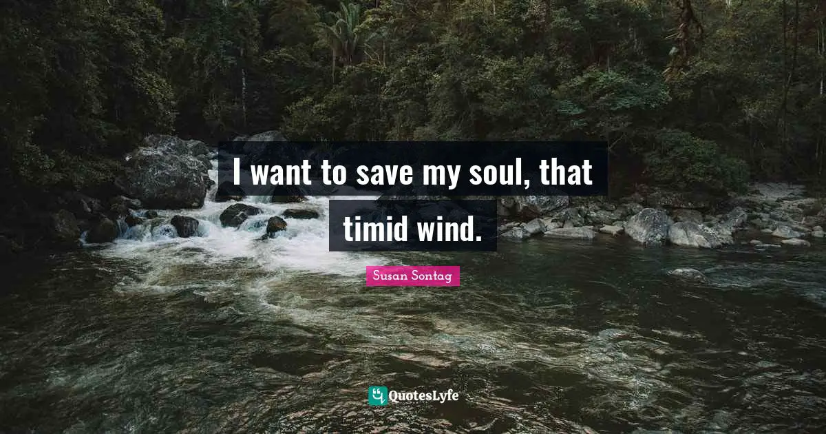 I want to save my soul, that timid wind.