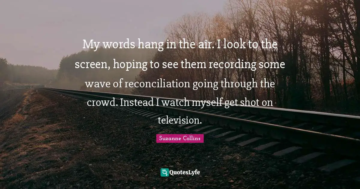 My words hang in the air. I look to the screen, hoping to see them recording some wave of reconciliation going through the crowd. Instead I watch myself get shot on television.