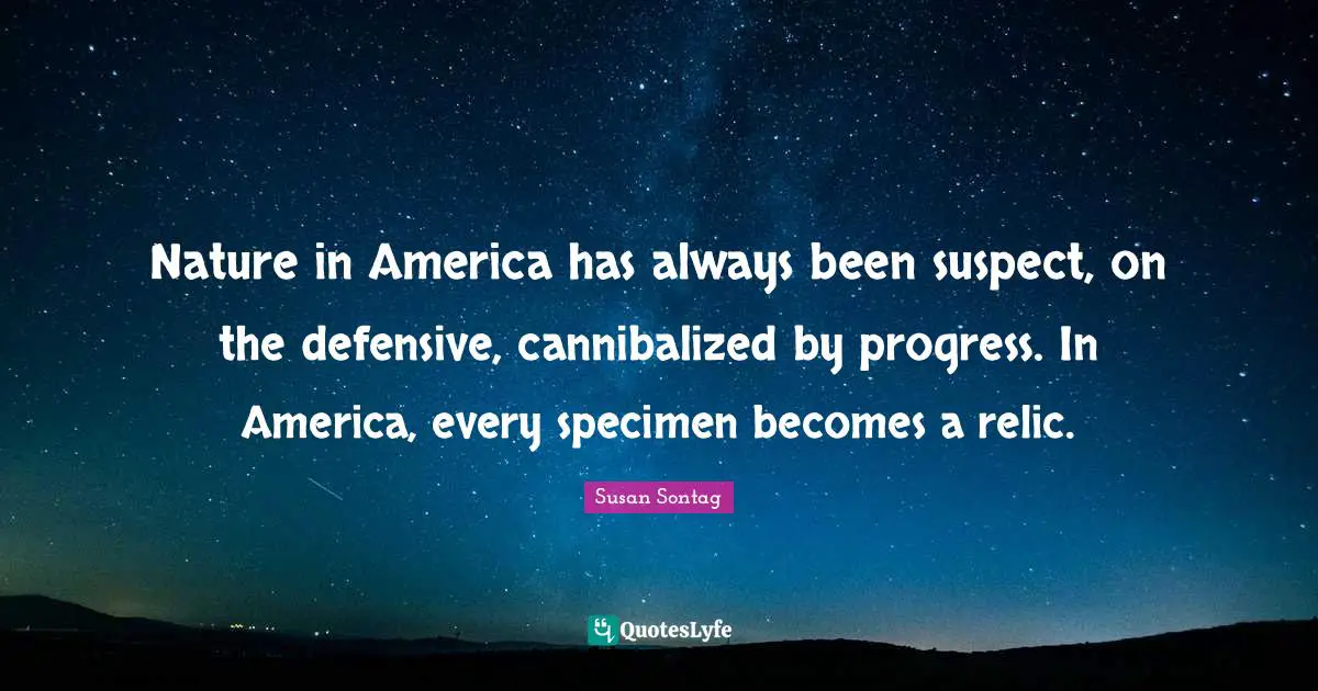 Nature in America has always been suspect, on the defensive, cannibalized by progress. In America, every specimen becomes a relic.