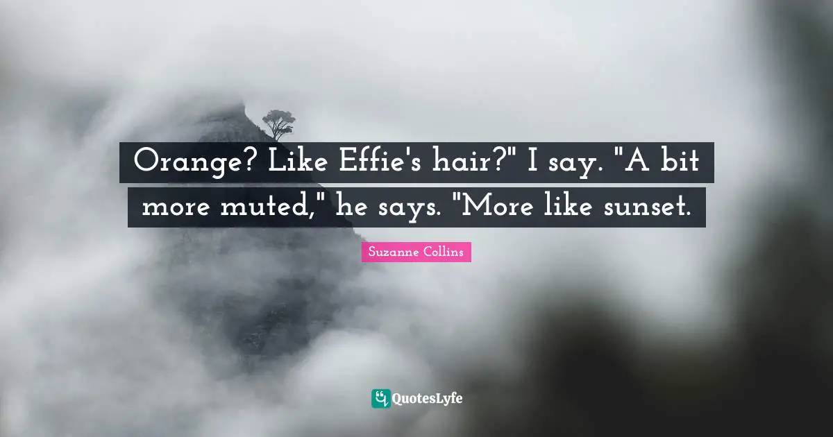 Orange? Like Effie's hair?" I say. "A bit more muted," he says. "More like sunset.