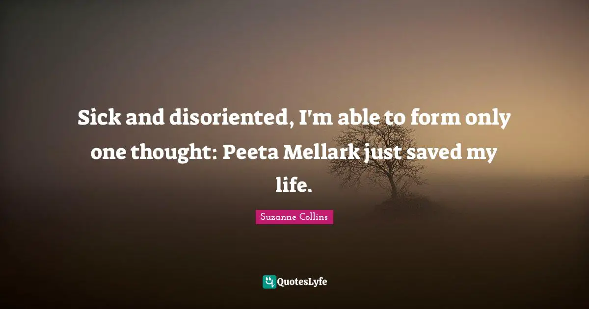 Sick and disoriented, I'm able to form only one thought: Peeta Mellark just saved my life.
