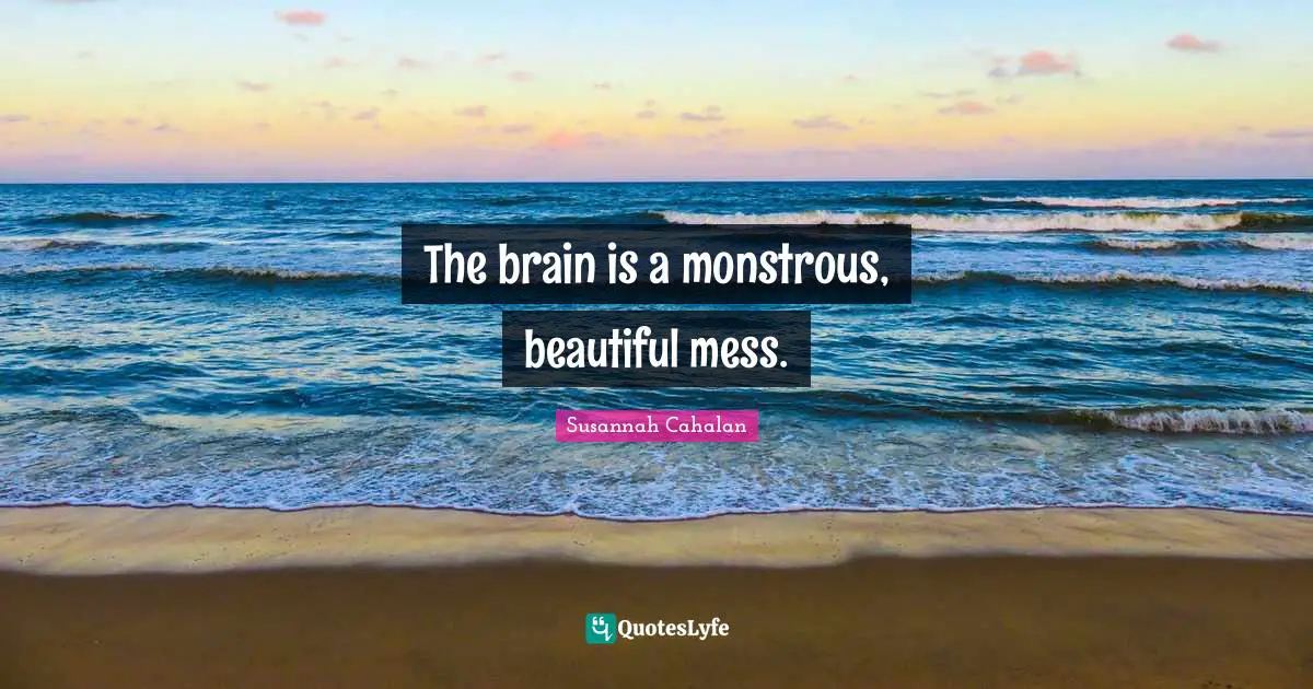 The brain is a monstrous, beautiful mess.