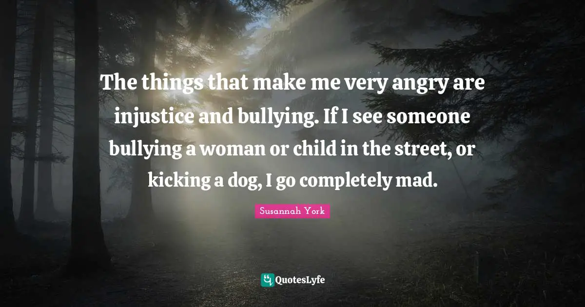 The things that make me very angry are injustice and bullying. If I see someone bullying a woman or child in the street, or kicking a dog, I go completely mad.