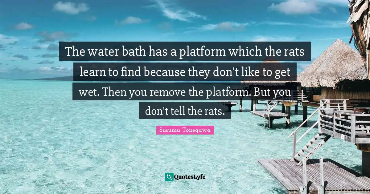 The water bath has a platform which the rats learn to find because they don't like to get wet. Then you remove the platform. But you don't tell the rats.