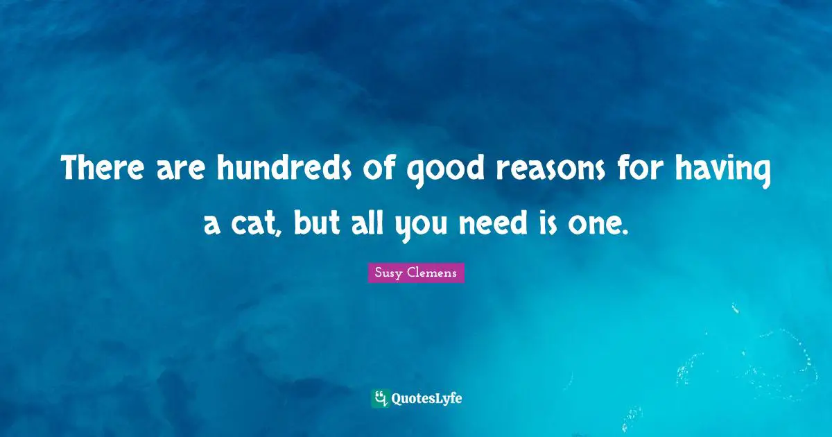 There are hundreds of good reasons for having a cat, but all you need is one.