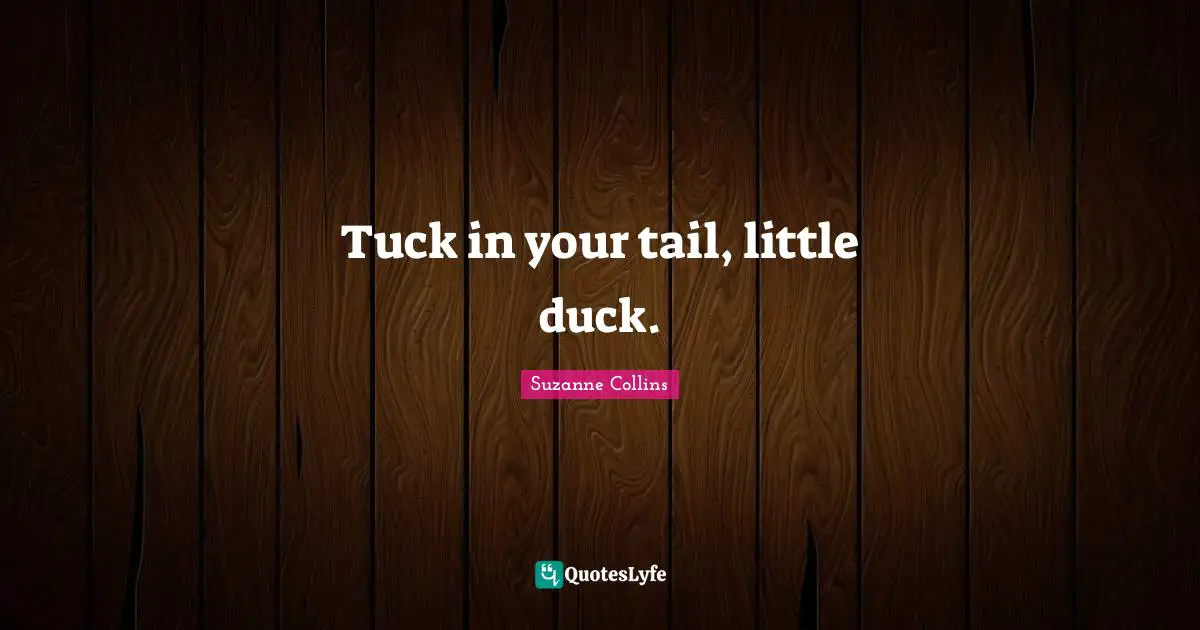 Tuck in your tail, little duck.