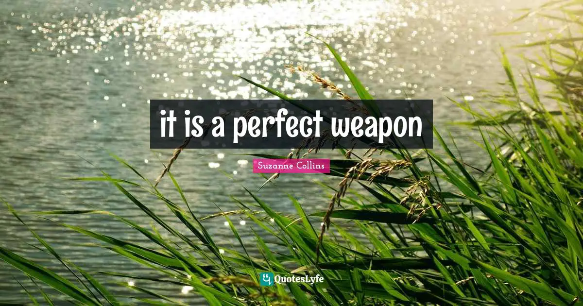 it is a perfect weapon