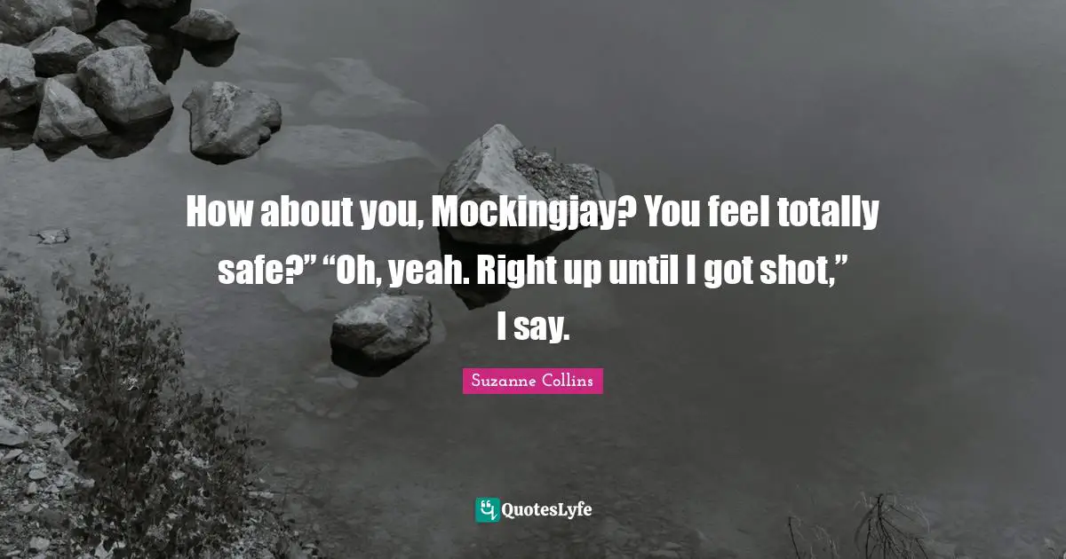 Mockingjay Quotes: "How about you, Mockingjay? You feel totally safe?” “Oh, yeah. Right up until I got shot,” I say."