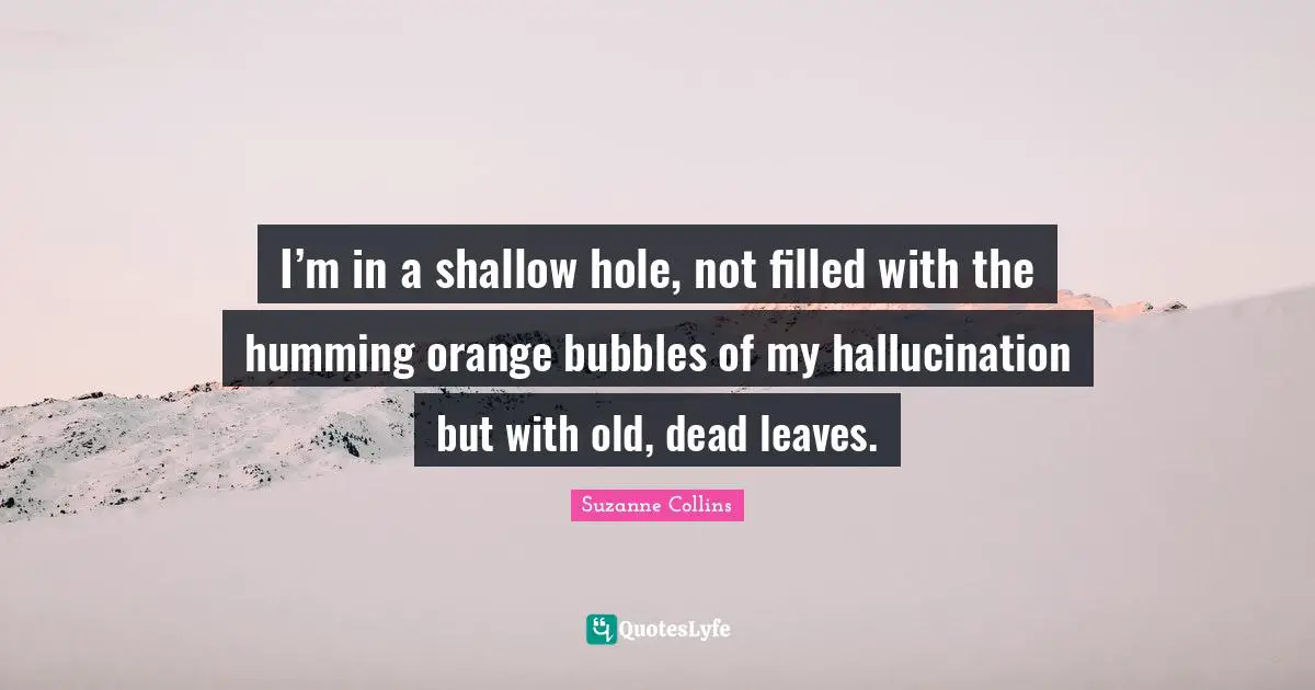 I’m in a shallow hole, not filled with the humming orange bubbles of my hallucination but with old, dead leaves.