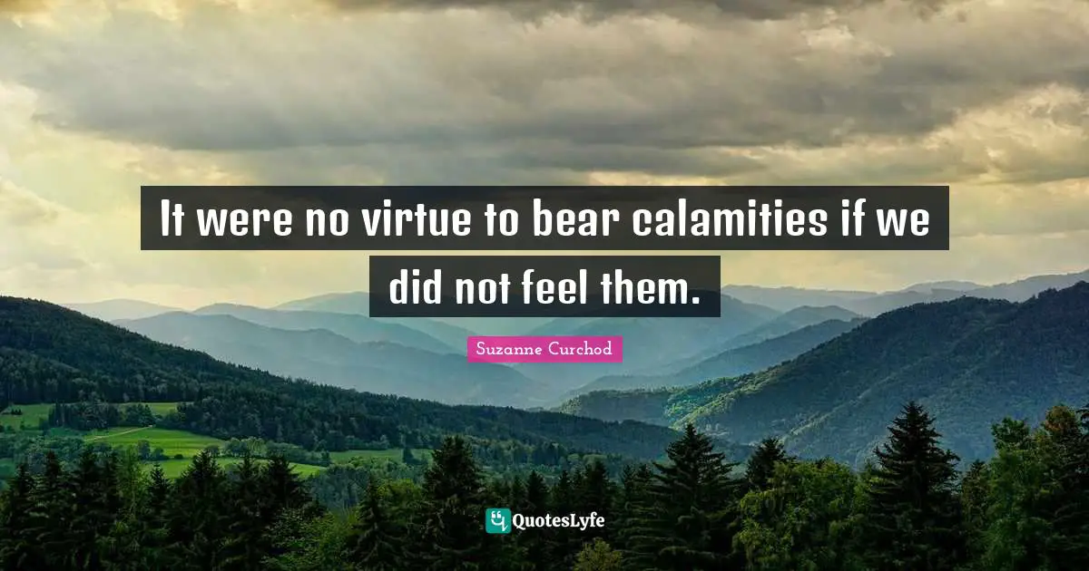 It were no virtue to bear calamities if we did not feel them.