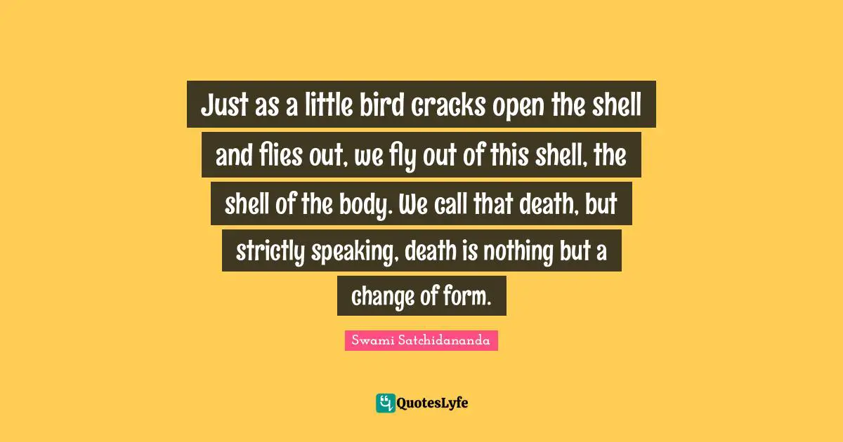 Just as a little bird cracks open the shell and flies out, we fly out of this shell, the shell of the body. We call that death, but strictly speaking, death is nothing but a change of form.
