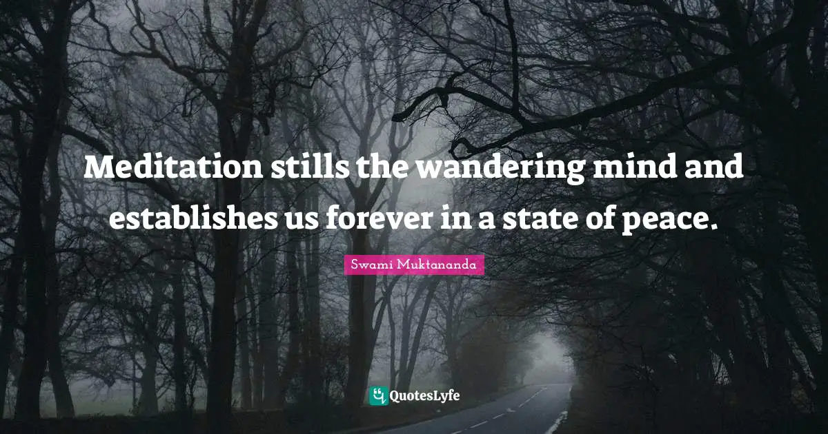 Meditation stills the wandering mind and establishes us forever in a state of peace.