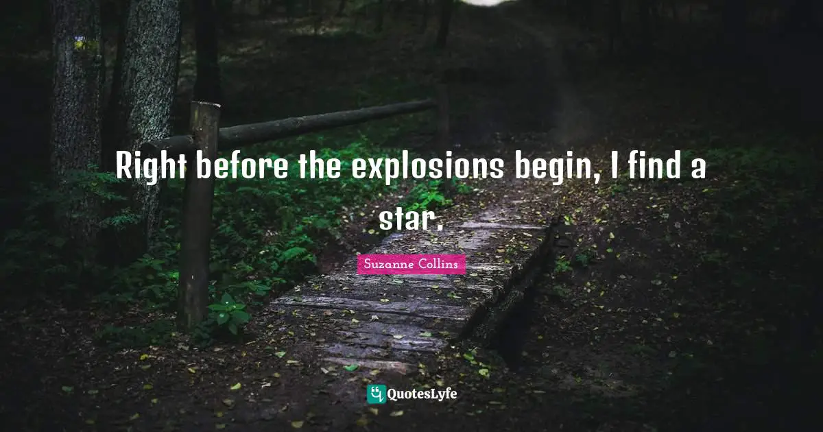 Explosions Quotes: "Right before the explosions begin, I find a star."