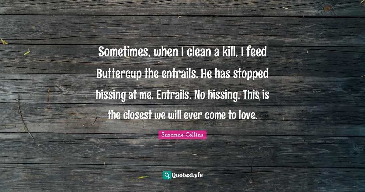 Sometimes, when I clean a kill, I feed Buttercup the entrails. He has stopped hissing at me. Entrails. No hissing. This is the closest we will ever come to love.