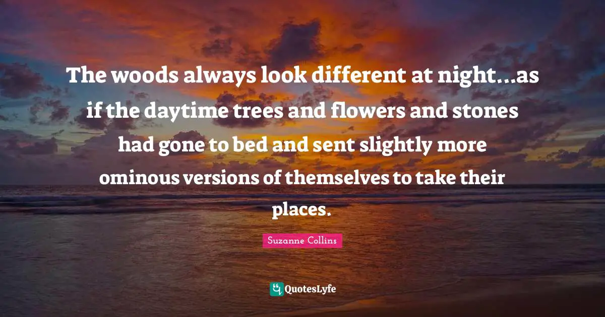 The woods always look different at night...as if the daytime trees and flowers and stones had gone to bed and sent slightly more ominous versions of themselves to take their places.