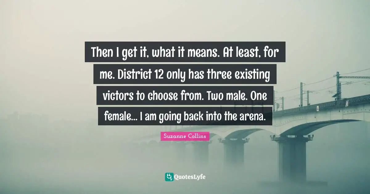 Then I get it, what it means. At least, for me. District 12 only has three existing victors to choose from. Two male. One female... I am going back into the arena.