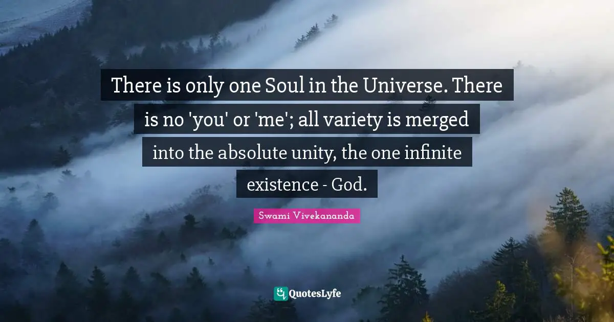 There is only one Soul in the Universe. There is no 'you' or 'me'; all variety is merged into the absolute unity, the one infinite existence - God.