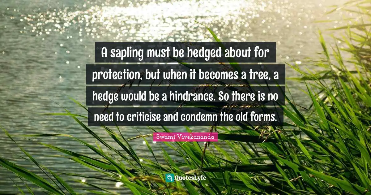 A sapling must be hedged about for protection, but when it becomes a tree, a hedge would be a hindrance. So there is no need to criticise and condemn the old forms.