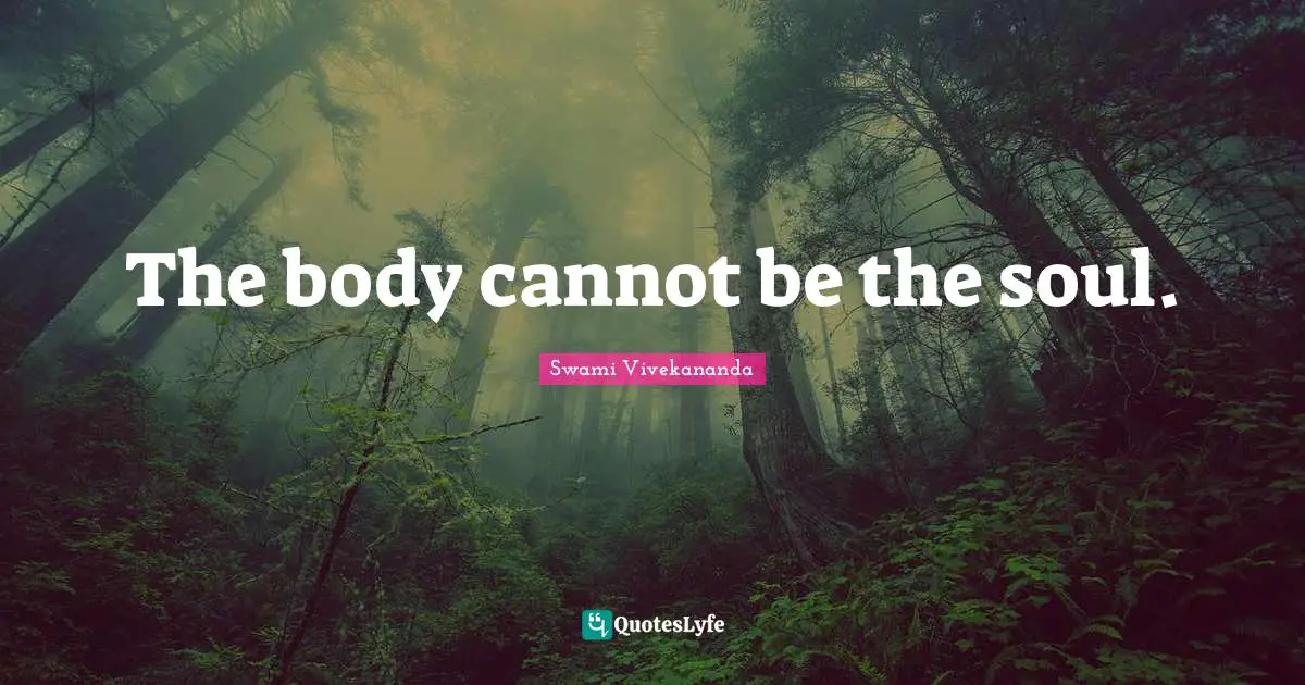 The body cannot be the soul.
