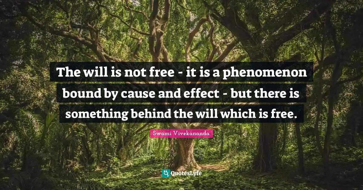 The will is not free - it is a phenomenon bound by cause and effect - but there is something behind the will which is free.