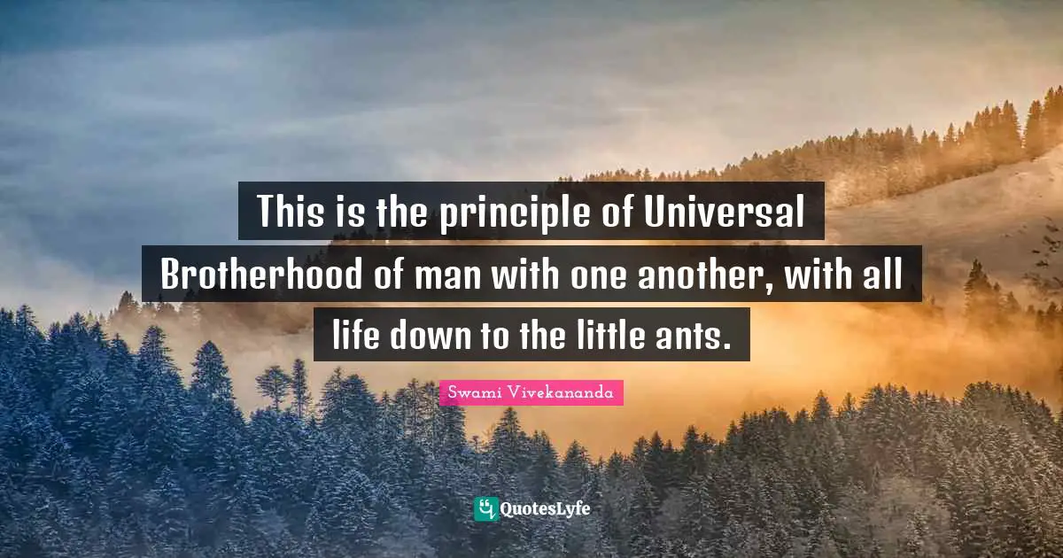This is the principle of Universal Brotherhood of man with one another, with all life down to the little ants.