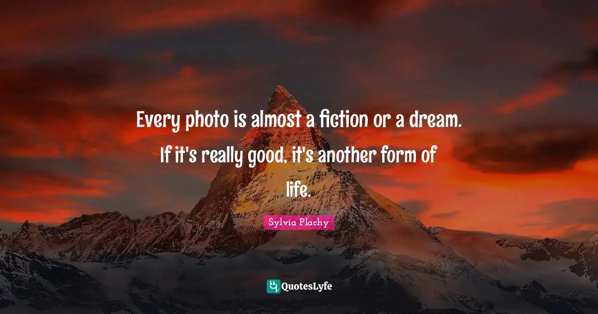 Every photo is almost a fiction or a dream. If it's really good, it's another form of life.