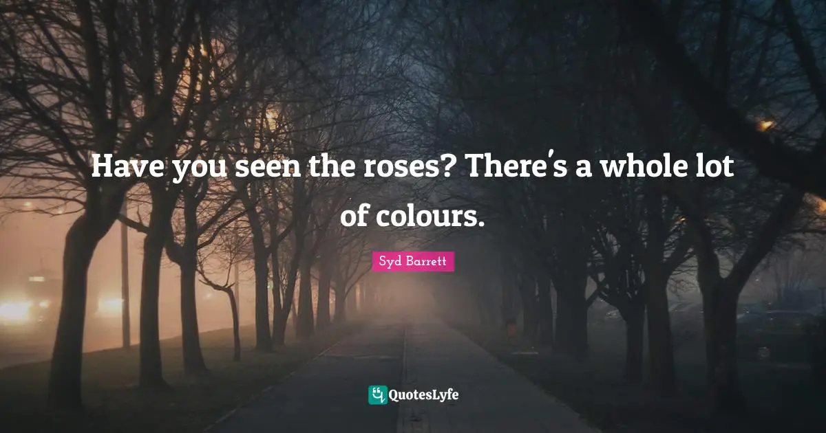 Have you seen the roses? There's a whole lot of colours.
