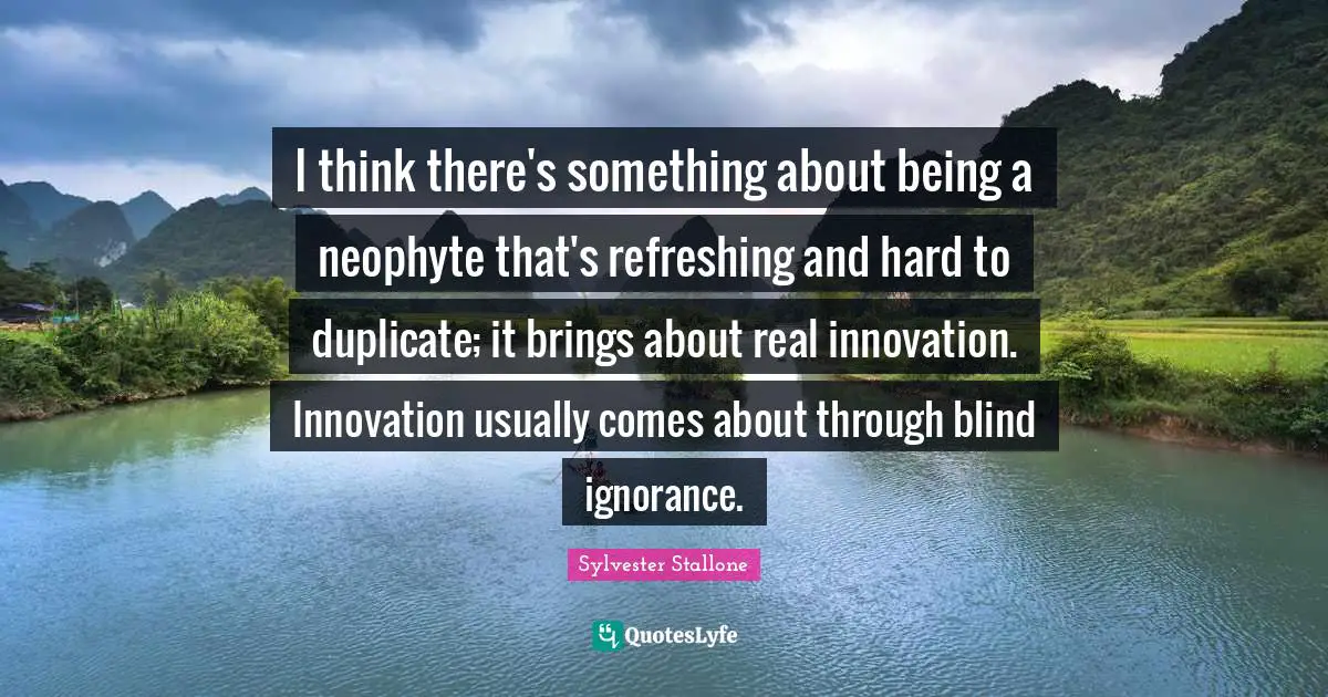 I think there's something about being a neophyte that's refreshing and hard to duplicate; it brings about real innovation. Innovation usually comes about through blind ignorance.