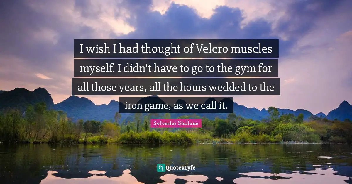 I wish I had thought of Velcro muscles myself. I didn't have to go to the gym for all those years, all the hours wedded to the iron game, as we call it.
