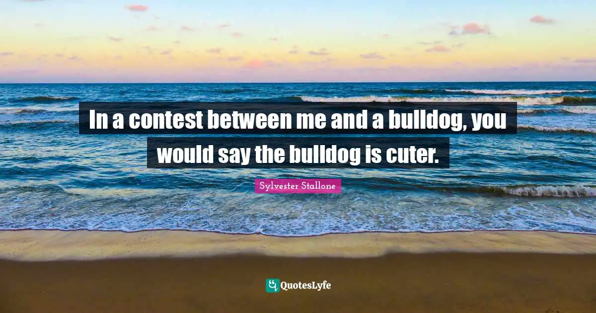 Sylvester Stallone Quotes: "In a contest between me and a bulldog, you would say the bulldog is cuter."
