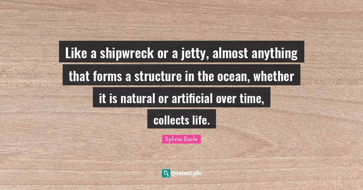 Sylvia Earle Quotes: "Like a shipwreck or a jetty, almost anything that forms a structure in the ocean, whether it is natural or artificial over time, collects life."