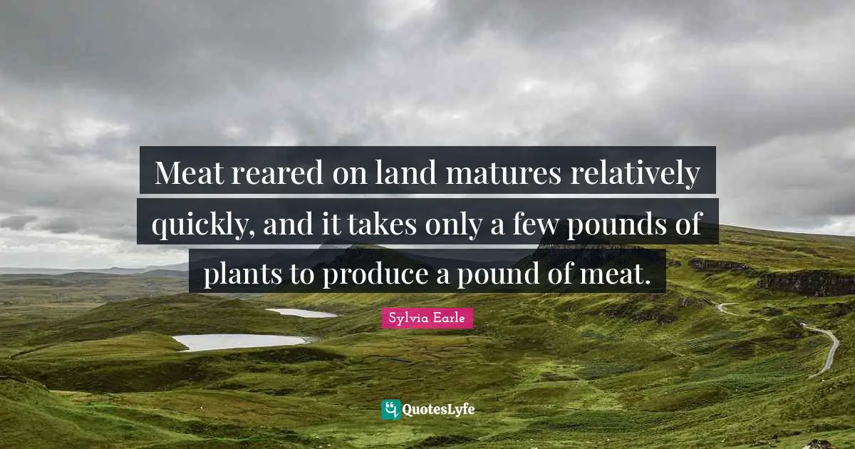 Meat reared on land matures relatively quickly, and it takes only a few pounds of plants to produce a pound of meat.