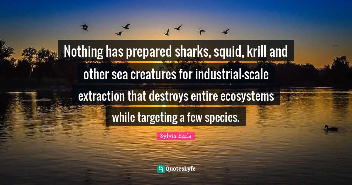 Sylvia Earle Quotes: "Nothing has prepared sharks, squid, krill and other sea creatures for industrial-scale extraction that destroys entire ecosystems while targeting a few species."