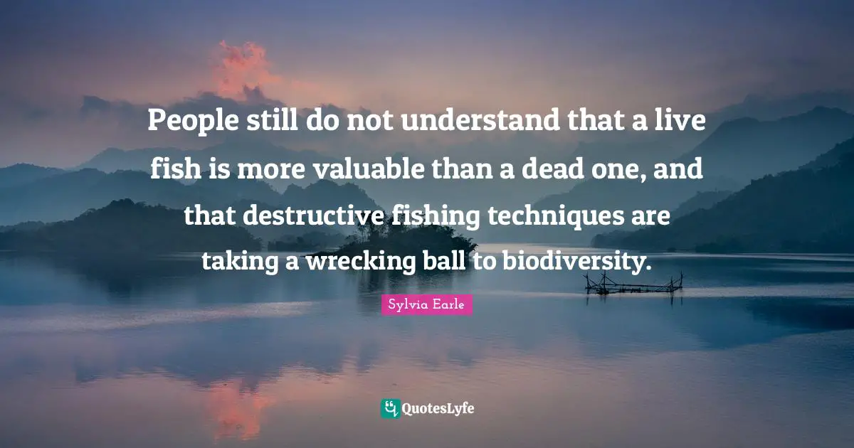 People still do not understand that a live fish is more valuable than a dead one, and that destructive fishing techniques are taking a wrecking ball to biodiversity.