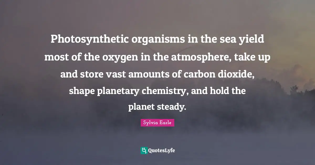 Sylvia Earle Quotes: "Photosynthetic organisms in the sea yield most of the oxygen in the atmosphere, take up and store vast amounts of carbon dioxide, shape planetary chemistry, and hold the planet steady."