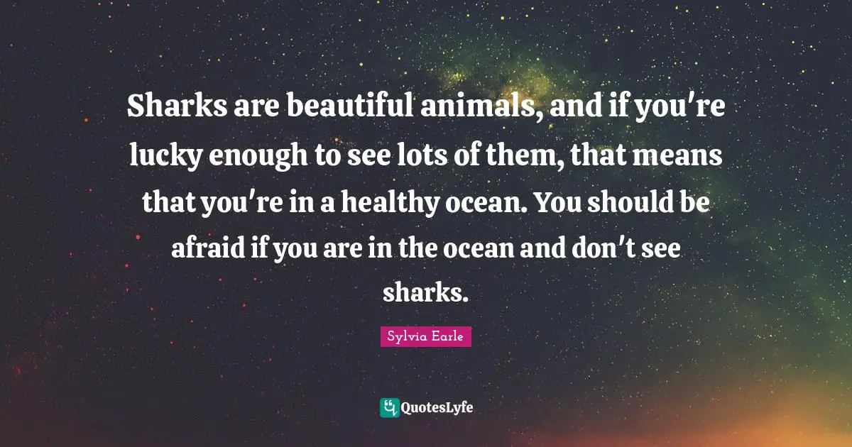 Sylvia Earle Quotes: "Sharks are beautiful animals, and if you're lucky enough to see lots of them, that means that you're in a healthy ocean. You should be afraid if you are in the ocean and don't see sharks."