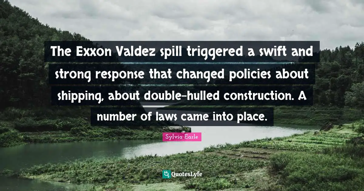 The Exxon Valdez spill triggered a swift and strong response that changed policies about shipping, about double-hulled construction. A number of laws came into place.