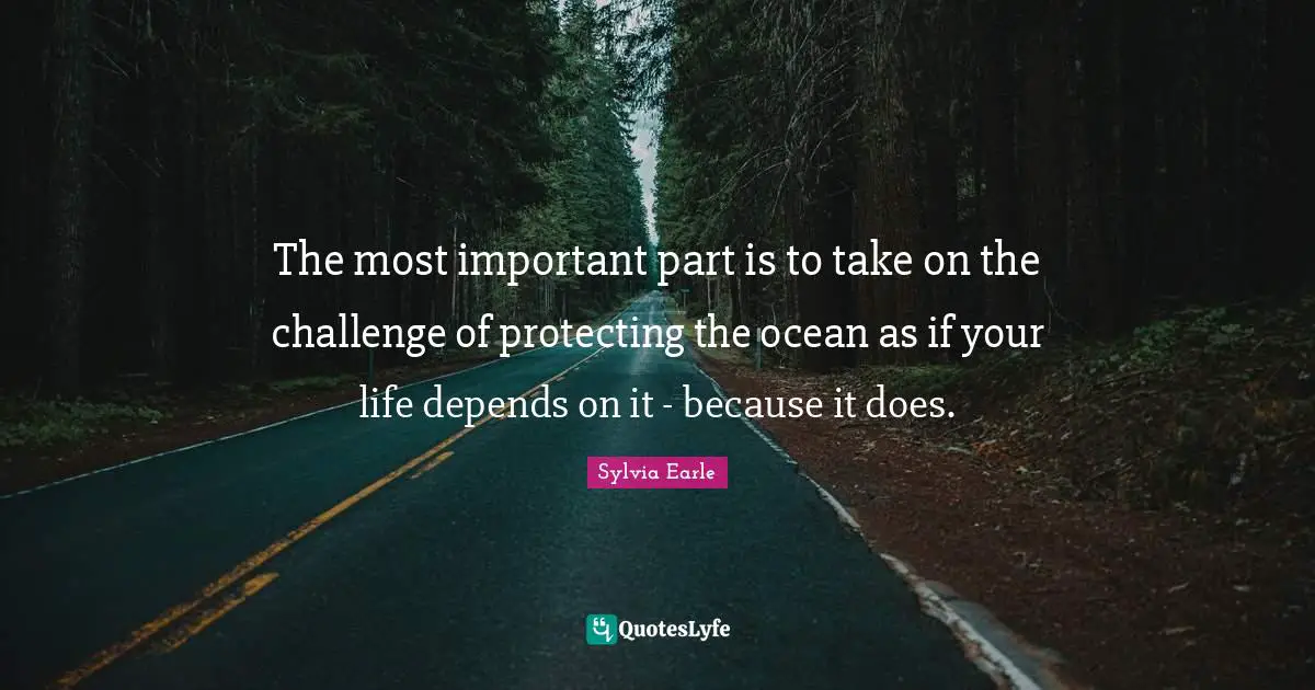 The most important part is to take on the challenge of protecting the ocean as if your life depends on it - because it does.