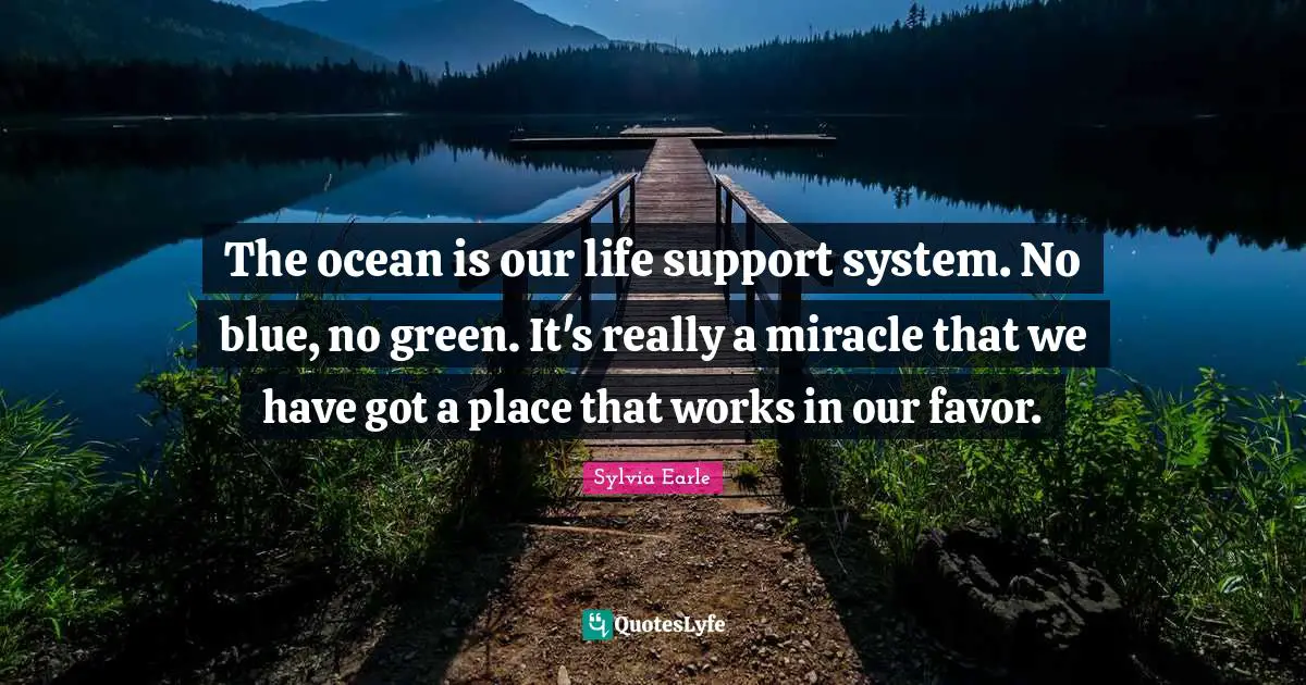 Support Systems Quotes: "The ocean is our life support system. No blue, no green. It's really a miracle that we have got a place that works in our favor."