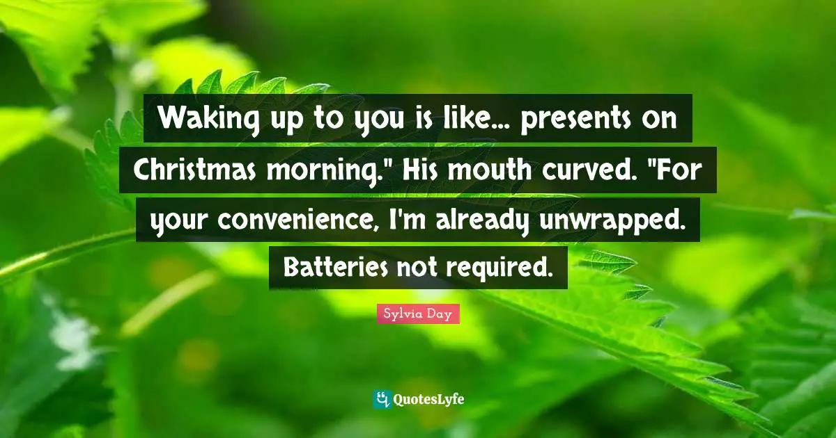 Waking up to you is like... presents on Christmas morning." His mouth curved. "For your convenience, I'm already unwrapped. Batteries not required.